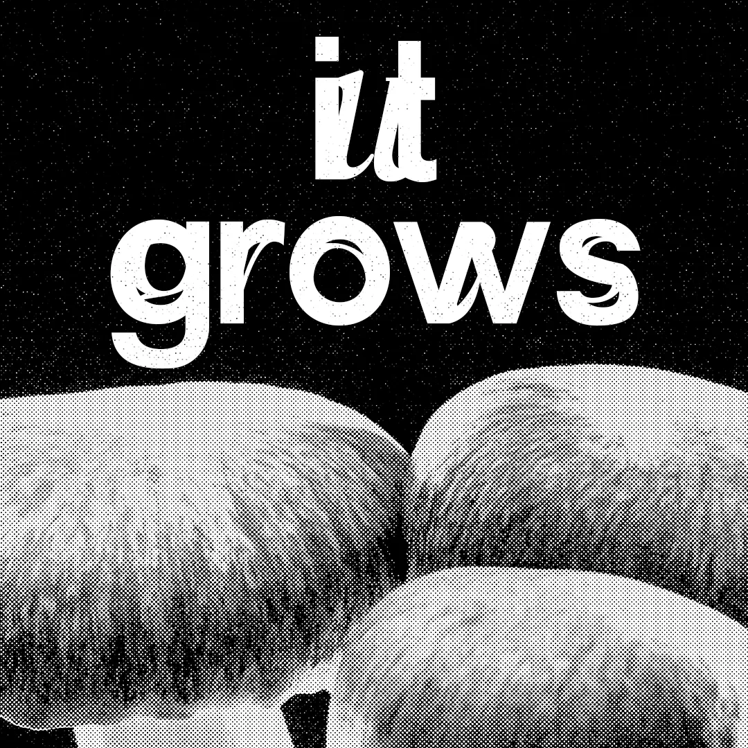 Image du projet parkerette