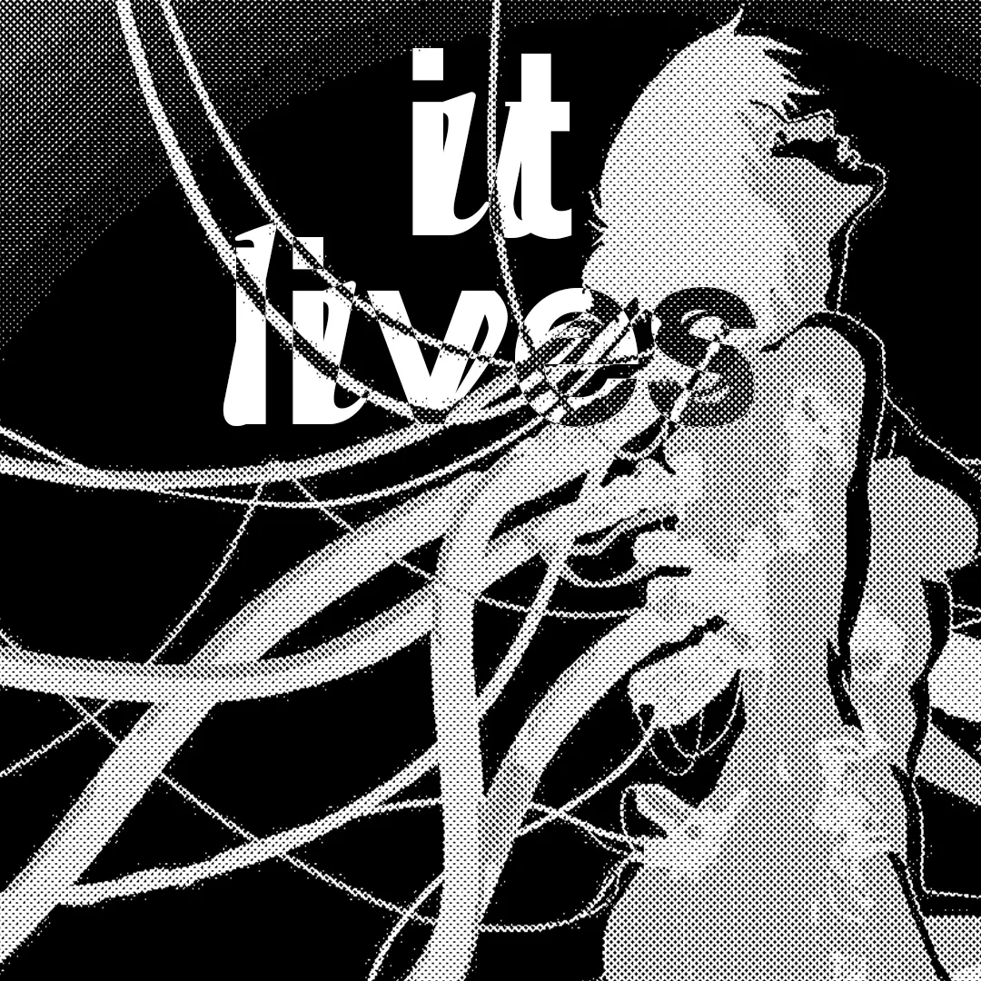 Image du projet parkerette