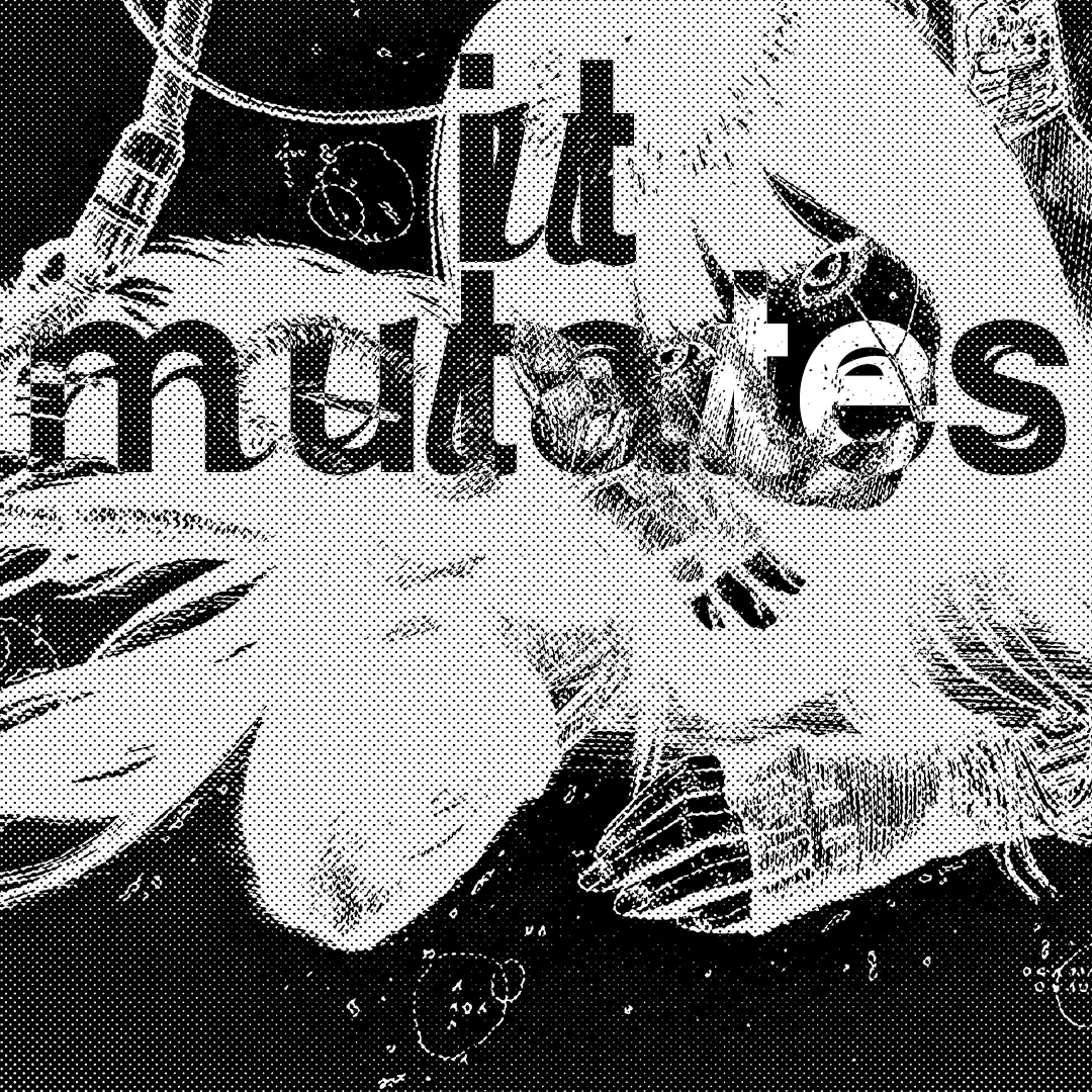 Image du projet parkerette