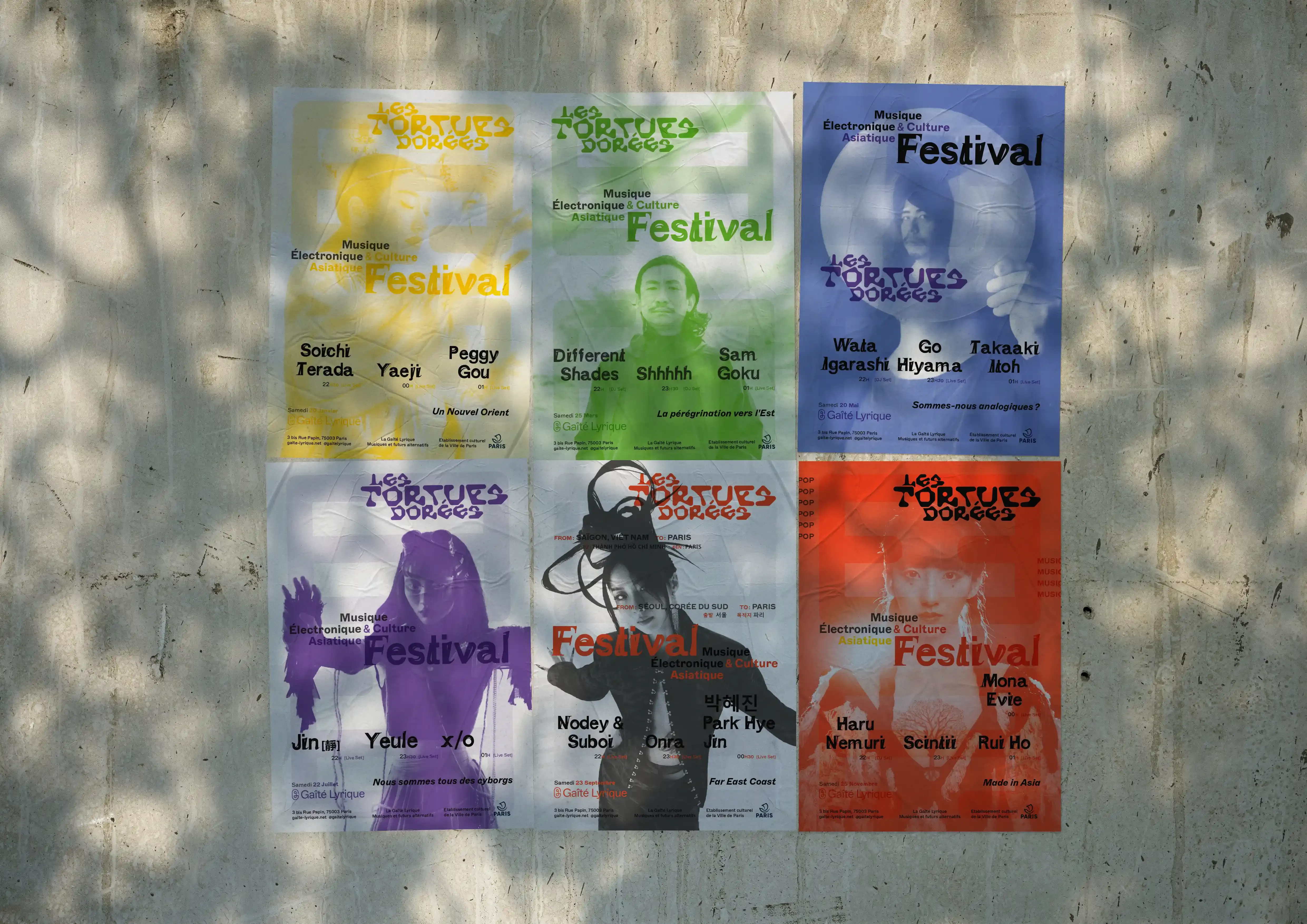 Image du projet tortuesdorees