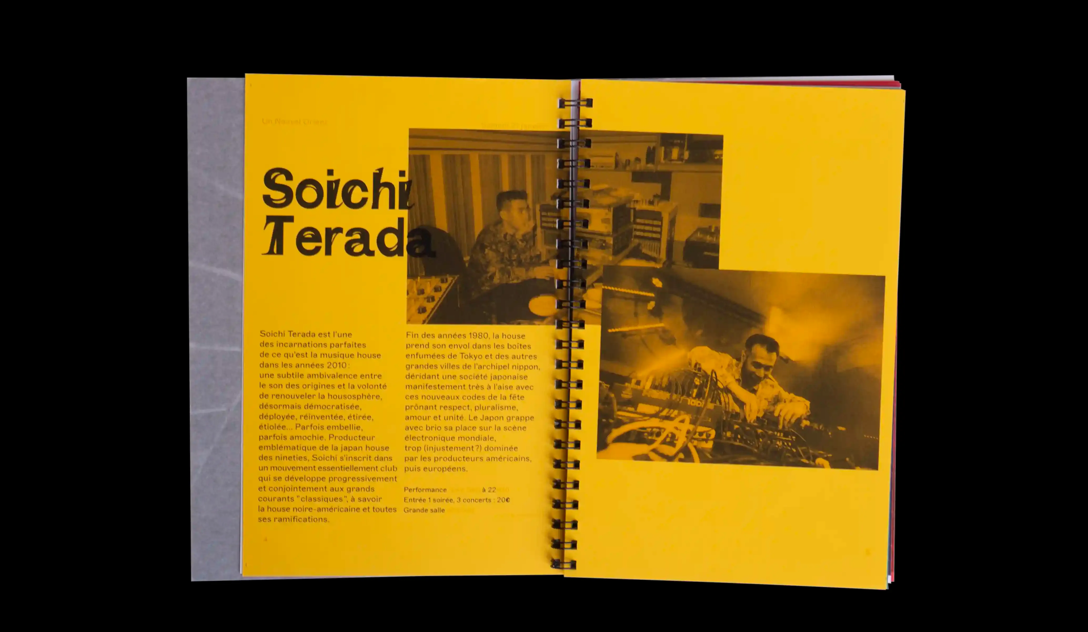 Image du projet tortuesdorees