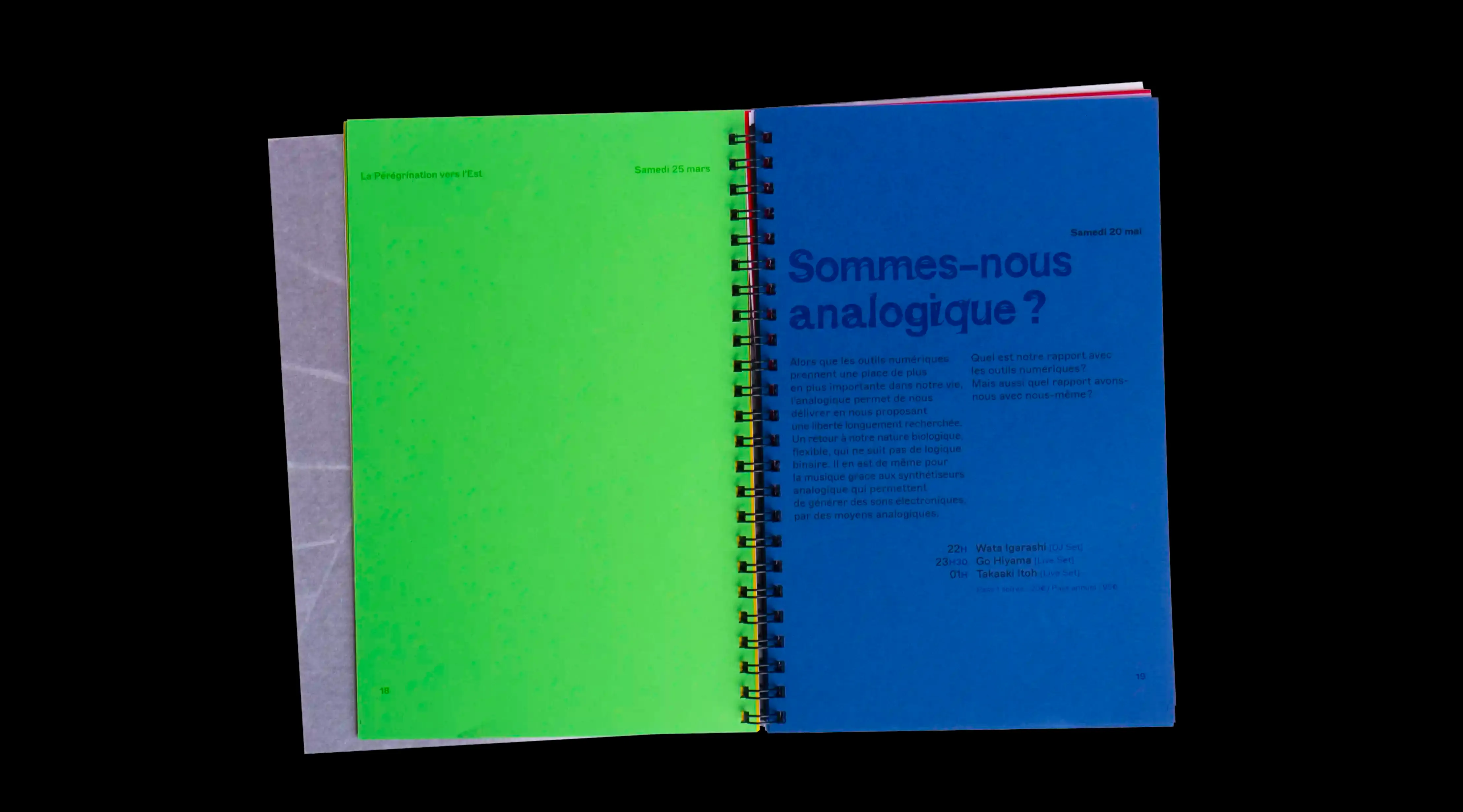 Image du projet tortuesdorees