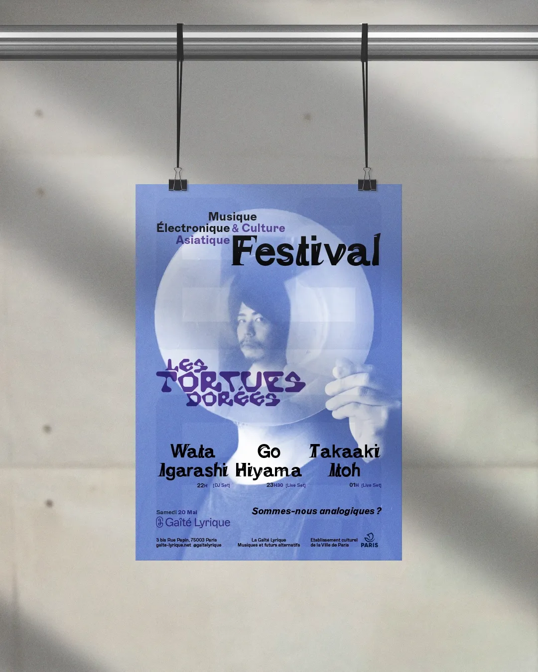 Image du projet tortuesdorees