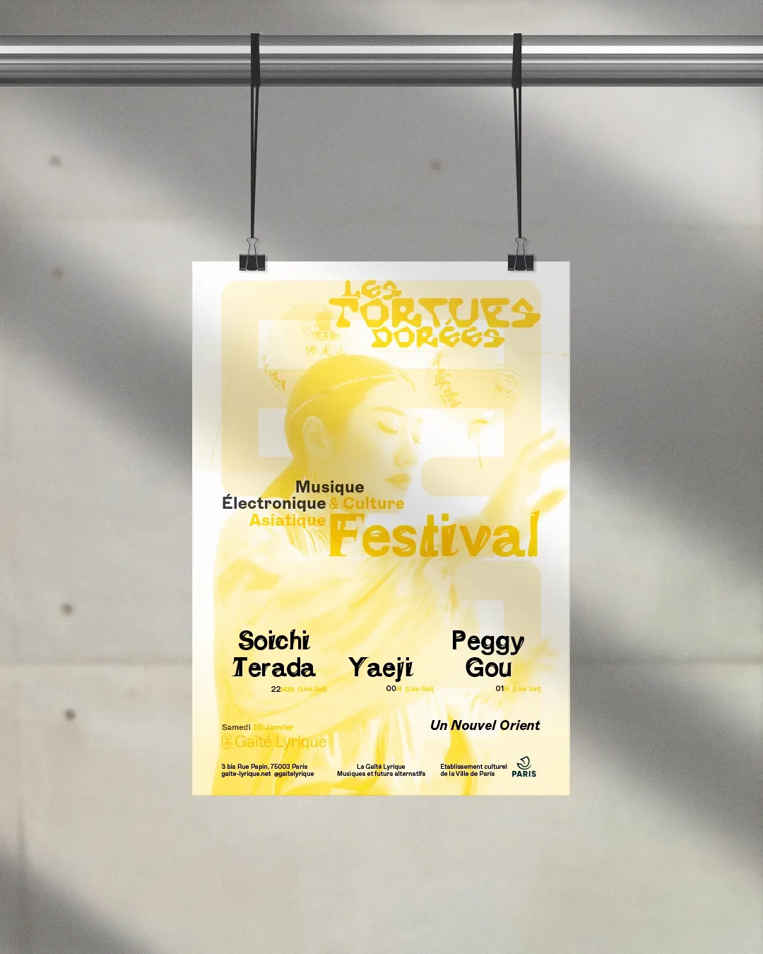 Image du projet tortuesdorees