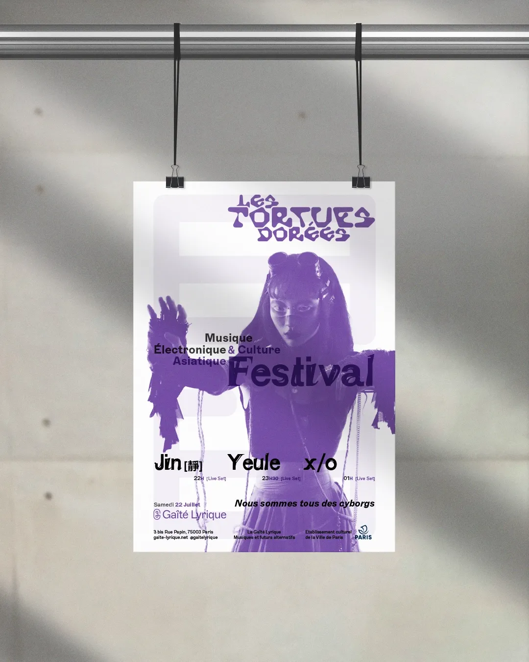 Image du projet tortuesdorees