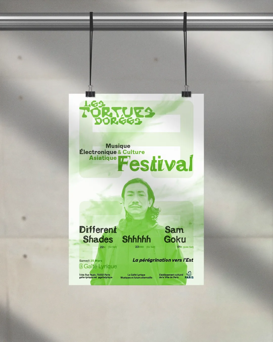 Image du projet tortuesdorees