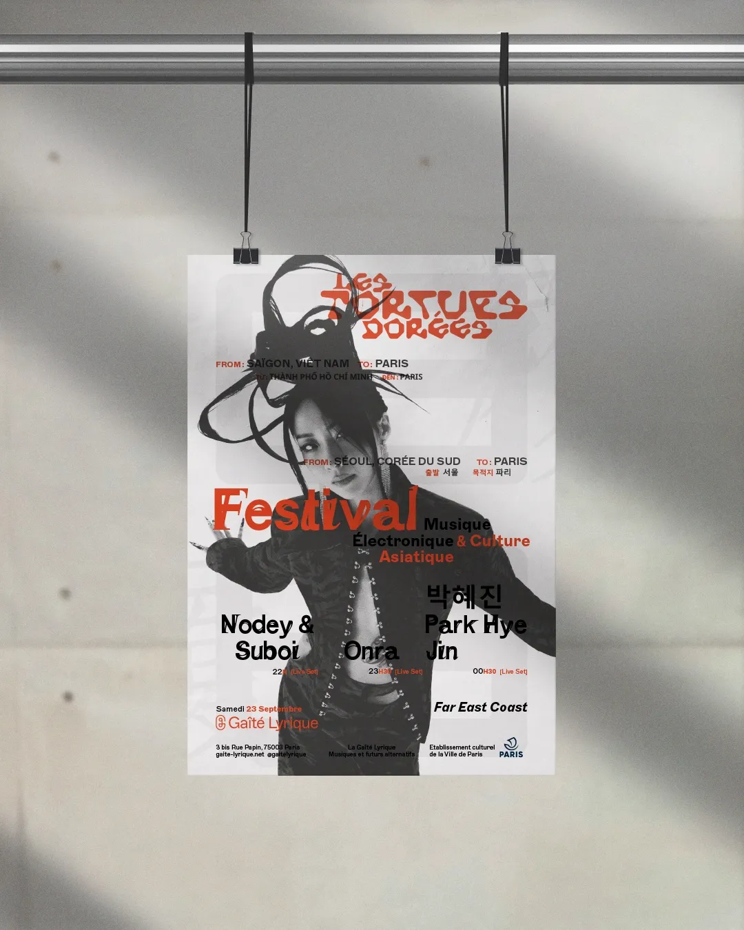 Image du projet tortuesdorees