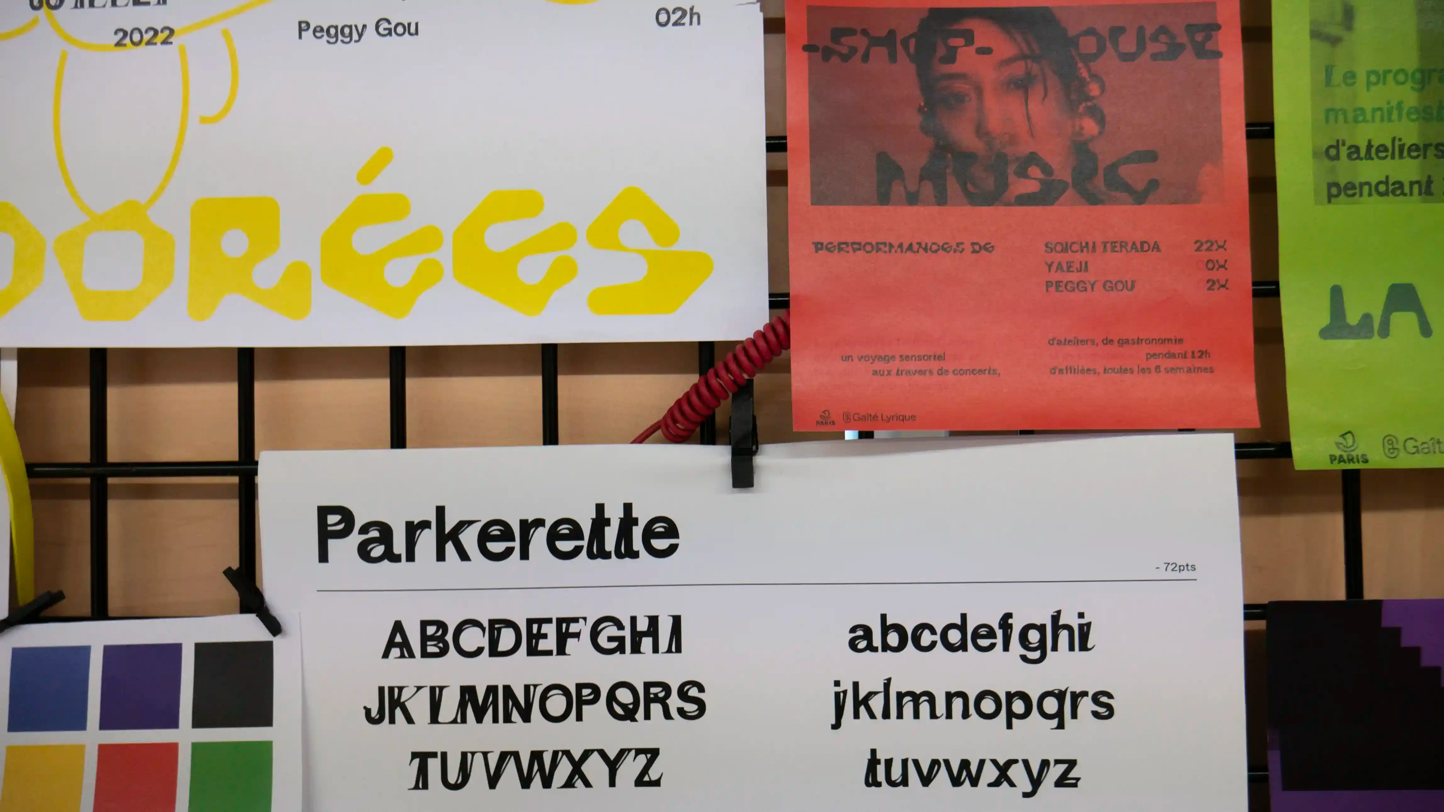 Image du projet tortuesdorees