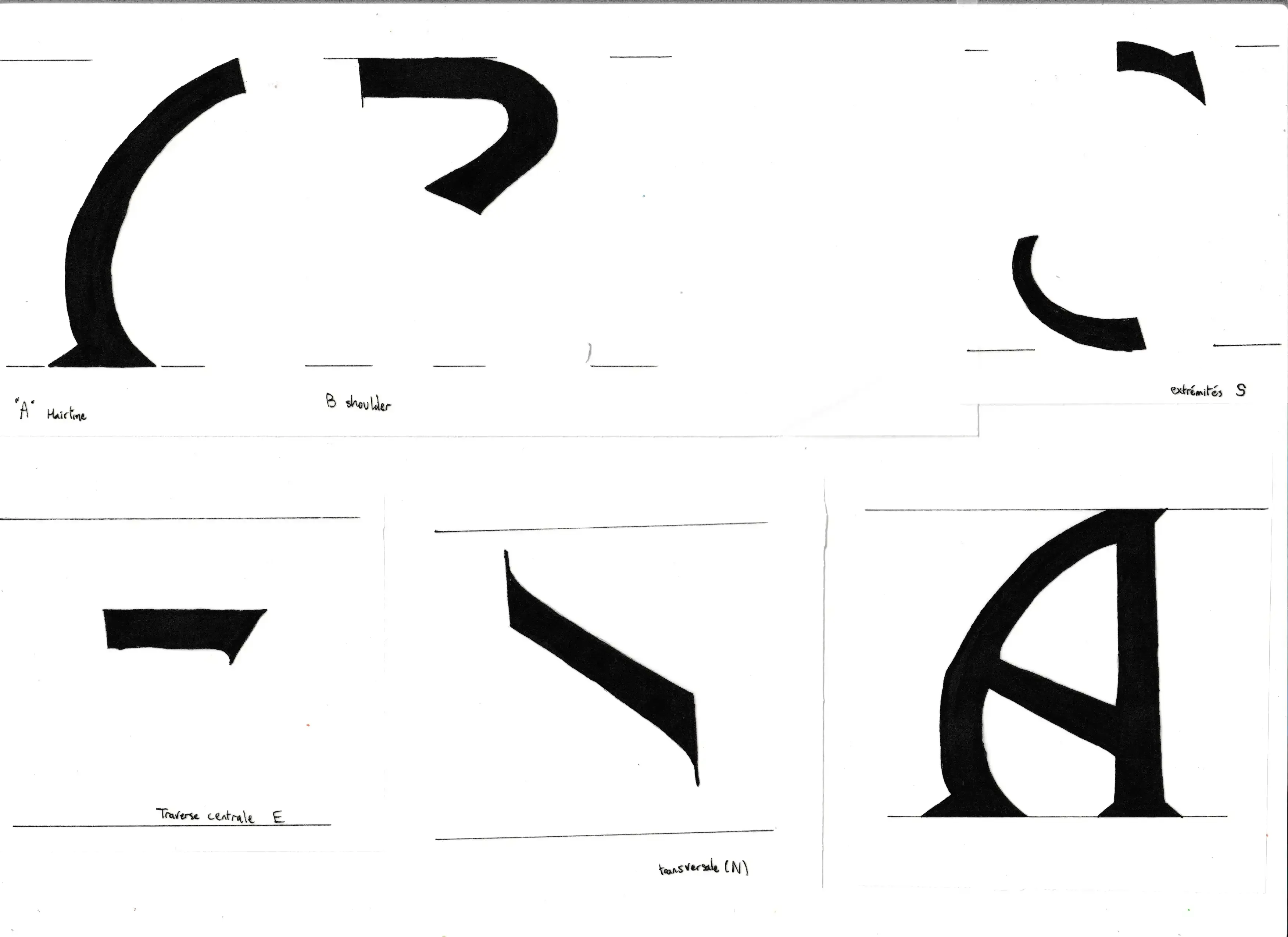 Image du projet orange-nouveau