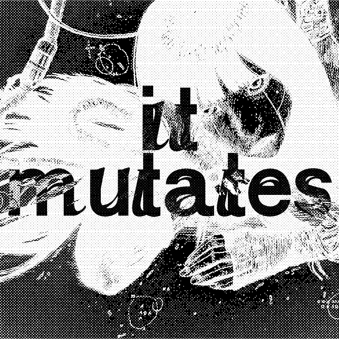 Aperçu du Projet Parkerette